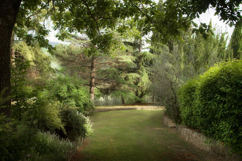 Podere Poggio Mendico Villa Arezzo Exterior photo